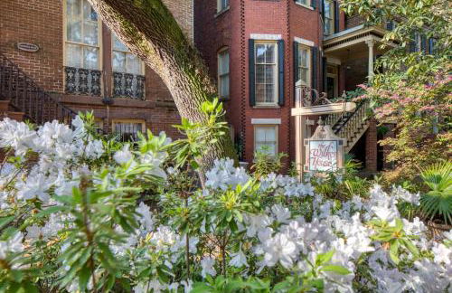 Spanish Moss by Lucky Savannah - Foto 43