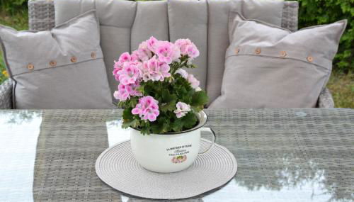 Bärenfalle - Foto 5