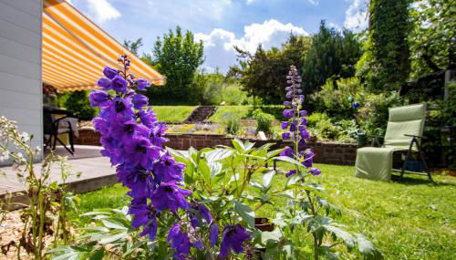 Paulas Ferienhaus - Foto 4