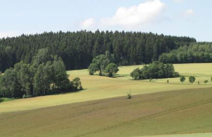 Stollenklause - Foto 35