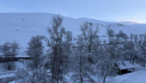 Appartement loudervielle - Foto 3