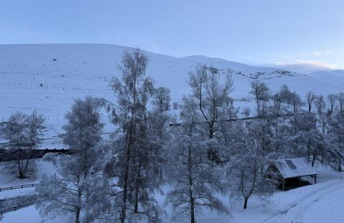 Appartement loudervielle - Foto 3