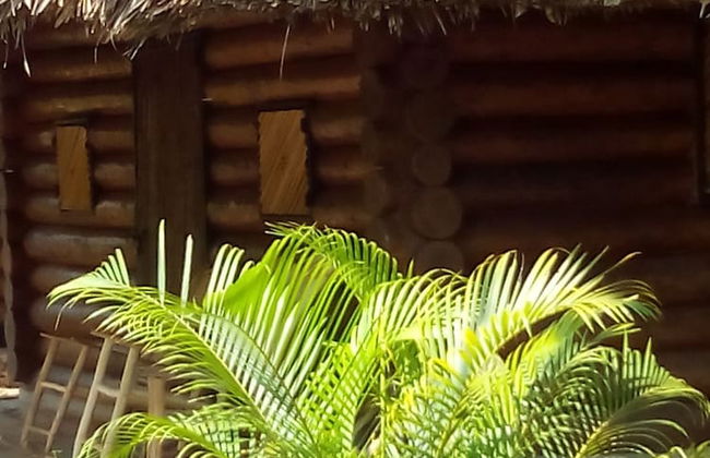 Room in Cabin - Cozy Sierraverde Cabins Cabana la Ceiba - Foto 9