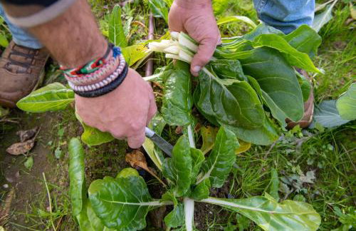 La Platea Rural - Foto 23