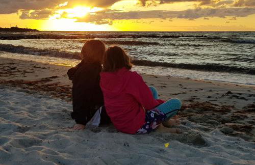 Meislahnhof Fehmarn - Foto 85