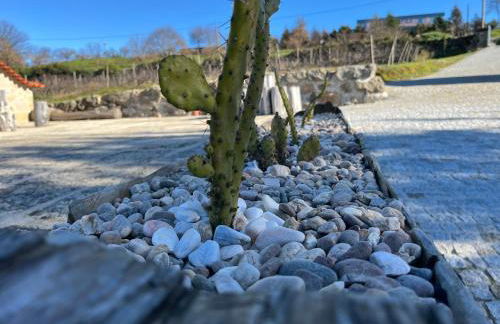 Quinta Casa do Retiro - Foto 10