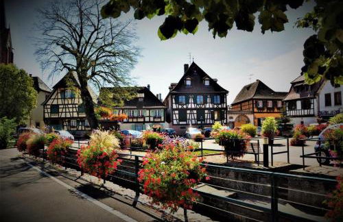 Gite Au sauna de l’Aubach - Foto 34