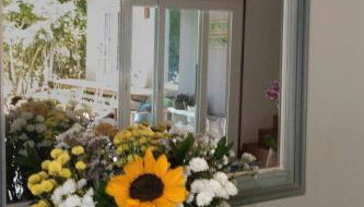 Canto dos pássaros - Foto 4