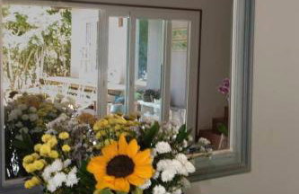 Canto dos pássaros - Foto 4