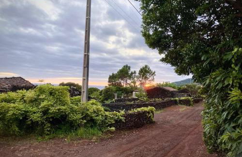 Casas do Amarelo - Photo 18