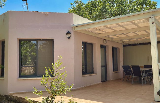 Nofey Habashan - Foto 38