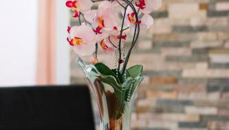 Apartments Salak - Foto 3