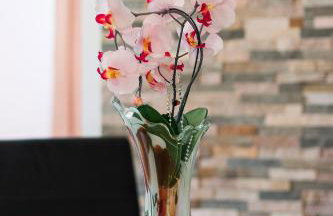 Apartments Salak - Foto 3