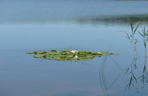 Landpension Zum Schweizerberg - Foto 16