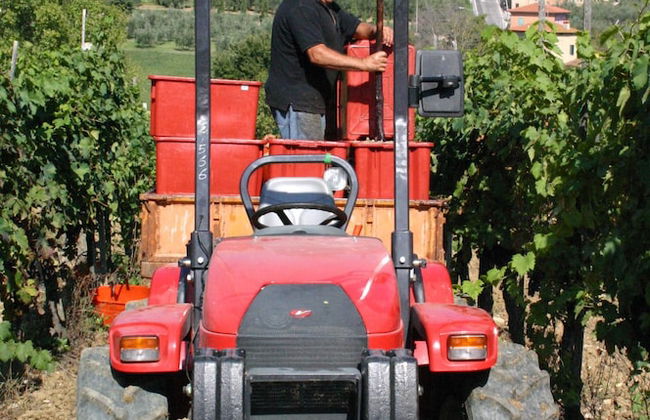 Agriturismo La Pietriccia - Foto 75