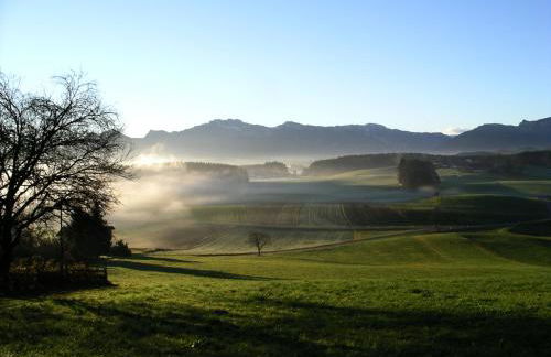Ferienwohnungen Maderhof - Foto 1