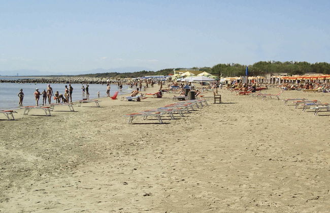 Dog's Bungalow - Foto 48