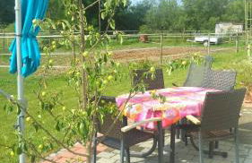 Ferienwohnung Am Verlorenen Bach - Foto 17