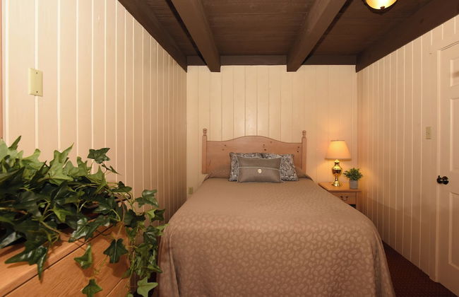 Seven Springs Resort by Vail Resorts - Foto 76