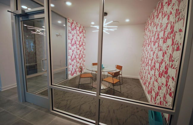 S1bf Rare Find - Bright and Modern 1-br w Free Parking - Foto 31