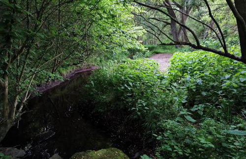 Chalets in nature Nedderhagen - Foto 22