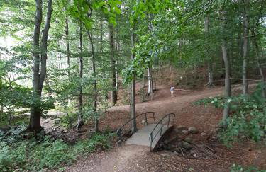 Ferienwohnung Nordlicht - Foto 20