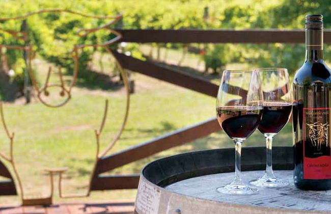 Wild Cattle Creek Estate - Foto 46