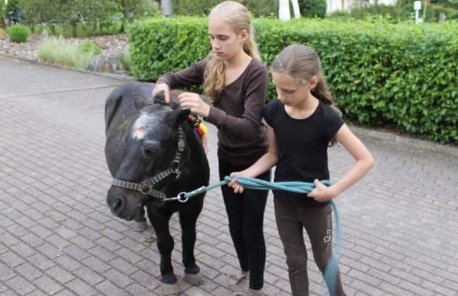 Holiday Home in Germany With Garden Terrace - Photo 10