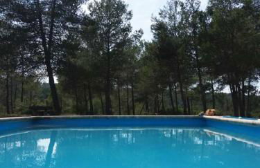 Case de Campo "El Caroche" Alojamientos, Retiros y Eventos - Foto 20