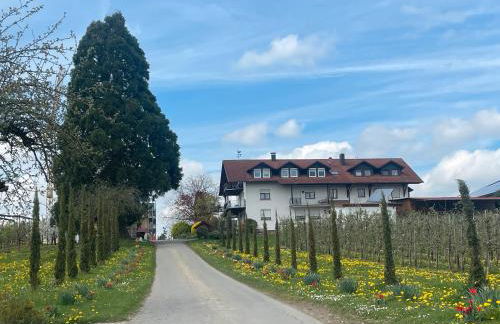 Bergchalet Mirabell - Hofgut - Foto 44