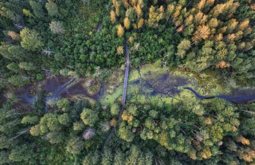 SZUMI ROSA - Foto 78