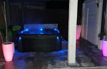 Acienne bergerie cévenole avec spa - Foto 2