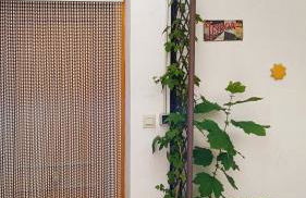 Casa de la Portuguesa, bonita terraza con barbacoa - Foto 11