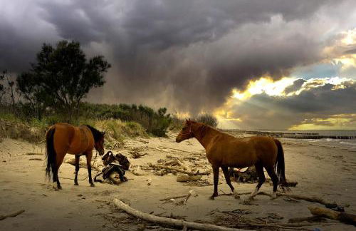 Appartamenti Nonna Rosa - Foto 30