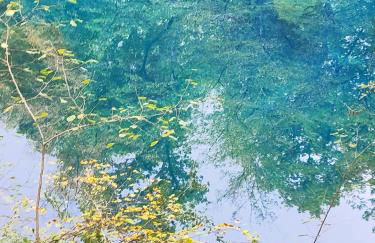 apartment, gite by the canal l Est,river Coney vosges france - Foto 34