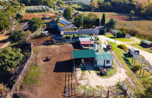 piccolo casale a "le Moline" in una vera fattoria - Foto 32