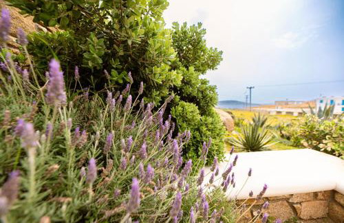 Opus apartment - Foto 48