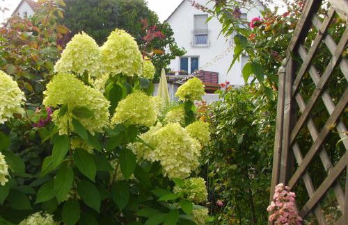 Ferienwohnung Gaby - Photo 21