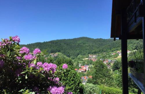 Dachstudio in Traumlage mit spektakulärem Ausblick - Foto 31