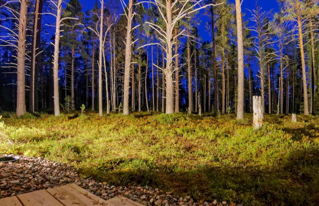 Kevätpiippo b - Foto 18