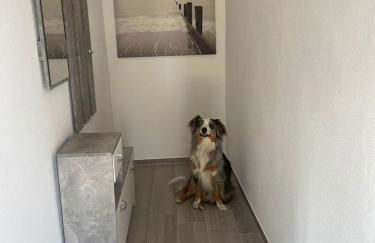 Pferdehof Simon - Foto 7