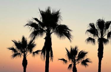 Retiro do Sossego - Foto 44