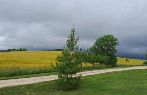 Gîte calme 4 chambres, terrasse privative, draps inclus - Germonville - FR-1-584-167 - Foto 18