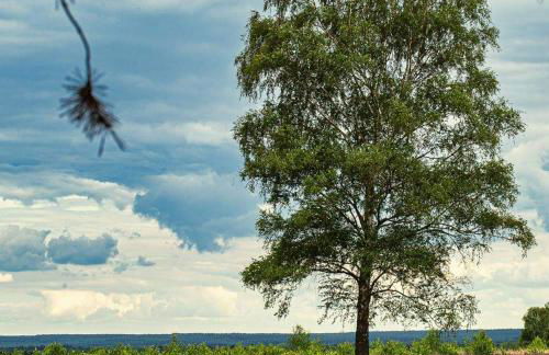 Ferienwohnung Ram 1 - Photo 59