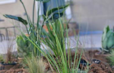 La casa di Antonio Corfu - Foto 61