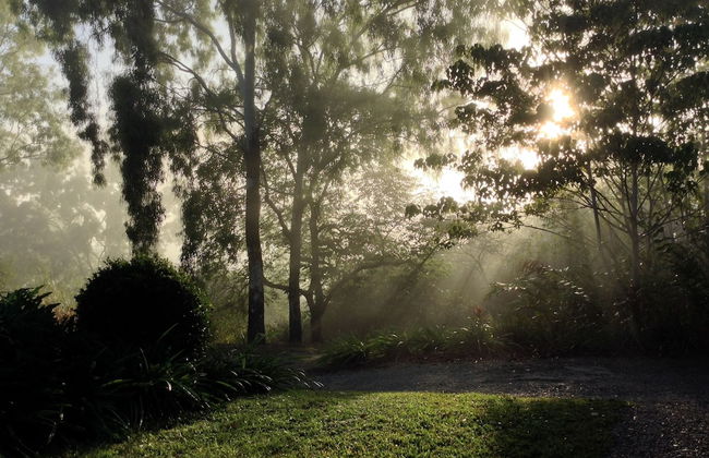 Seclude Rainforest Retreat - Foto 39