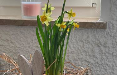 Ferienwohnungen Hollerberg Wohnung 2 - Photo 13