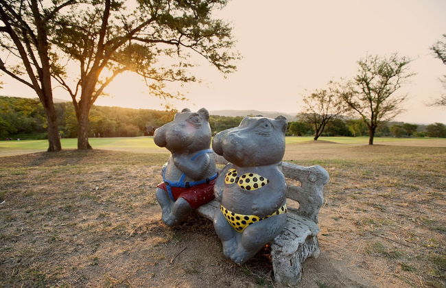 Kruger Park Lodge - Photo 45