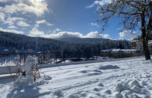 Appartamento immerso nel verde - Foto 12