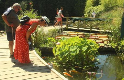 Sur la Cave - Foto 41